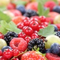 Berry fruits berries collection strawberries, blueberries raspbe Royalty Free Stock Photo