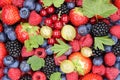 Berry fruits berries collection strawberries, blueberries raspbe Royalty Free Stock Photo