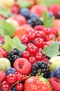 Berry fruits fresh berries collection strawberries, blueberries Royalty Free Stock Photo