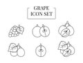 Berry Grapes whole and half, cut into slices, set of line icons in vector
