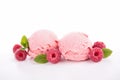 Berry ice cream Royalty Free Stock Photo