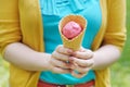 Berry ice cream Royalty Free Stock Photo