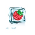 Berry in ice cube melting isolated