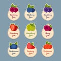 Berry icon set. Labels with berries. Flat style, vector
