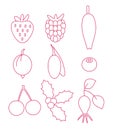 Berry icons