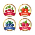 Berry jam and marmalade labels. Fresh summer fruits stickers vector template