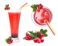 Berry juice and cowberry with leaves. Royalty Free Stock Photo