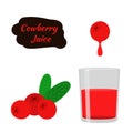 Berry juice, red cowberry, lingonberry, cranberry in flat style