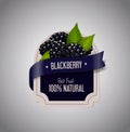 Berry Label with ripe blackberry with green leaves. Blackberry jam label design template