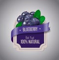 Berry Label with ripe blueberry with green leaves. Blueberry jam label design template