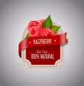 Berry Label with ripe raspberry with green leaves. Raspberry jam label design template