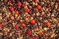 Berry mix Royalty Free Stock Photo