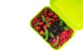 Berry mix: cherry, red and black currant, raspberry in a light green container. Royalty Free Stock Photo