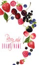 Berry mix falling banner Royalty Free Stock Photo