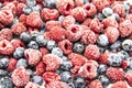 A Berry mix from frozen raspberries and blueberries. A Frozen Berries from freezer. A sweet background with frozen raspberries