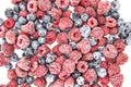 A Berry mix from frozen raspberries and blueberries. A Frozen Berries from freezer. A sweet background with frozen raspberries