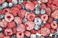 A Berry mix from frozen raspberries and blueberries. A Frozen Berries from freezer. A sweet background with frozen raspberries