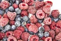 A Berry mix from frozen raspberries and blueberries. A Frozen Berries from freezer. A sweet background with frozen raspberries