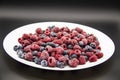 A Berry mix  from frozen raspberries and blueberries on the white plate. A Frozen Berries in black background.  A sweet background Royalty Free Stock Photo