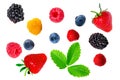 Berry mix isolated on a white background Royalty Free Stock Photo
