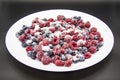 A Berry mix in sugar from frozen raspberries and blueberries on the white plate. A Frozen Berries with Sugar.  A sweet background Royalty Free Stock Photo