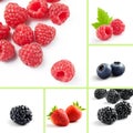 Berry mix Royalty Free Stock Photo