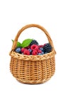 Berry mix in wicker basket isolated on white Royalty Free Stock Photo