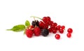 Berry mixed pile with green leaves Royalty Free Stock Photo