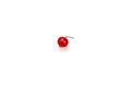 Berry organic cranberry on a white background Royalty Free Stock Photo