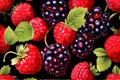 berry patterns repeating patterns featuring various berry design