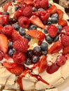 Fruit Pavlova