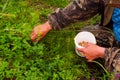 Berry picker in a protective suit collected in a bucket of wild red strawberries in the North growing in the grass.