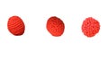 Berry picking, raspberry, isolate