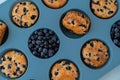 Berry pie in silicone muffin tin. Healthy vegan cupcakes with organic berries. Fresh baked blueberry muffins. Tasty Royalty Free Stock Photo