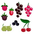 Berry platter Royalty Free Stock Photo