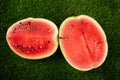 Berry, pumpkin, ripe juicy red watermelon lies on green grass, picnic, half watermelon Royalty Free Stock Photo