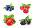 Berry Realistic Set