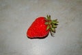 Berry of a red garden strawberry on a light background. Photo of fruit on a white background. Large red strawberry