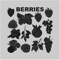 Berry set for use in product logos. Vector. Royalty Free Stock Photo