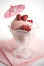 Berry sherbet Royalty Free Stock Photo