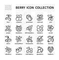 Berry simple set of vector linear icons. Isolated collection of berries icons on white background. Vector symbol set.