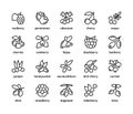 Berry simple set of vector linear icons. Isolated collection of berries icons on white background. Vector symbol set of berries