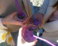 Berry smoothies on a picnic in summer weather Royalty Free Stock Photo