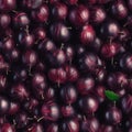 Berry solid seamless background of ripe gooseberries