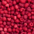 Berry solid seamless background of ripe raspberries