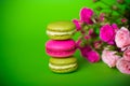 Berry spring color macaroons food background