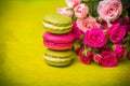 Berry spring color macaroons food background