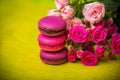 Berry spring color macaroons food background