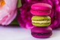 Berry spring color macaroons food background