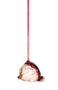 Berry syrup poured on ice cream Royalty Free Stock Photo